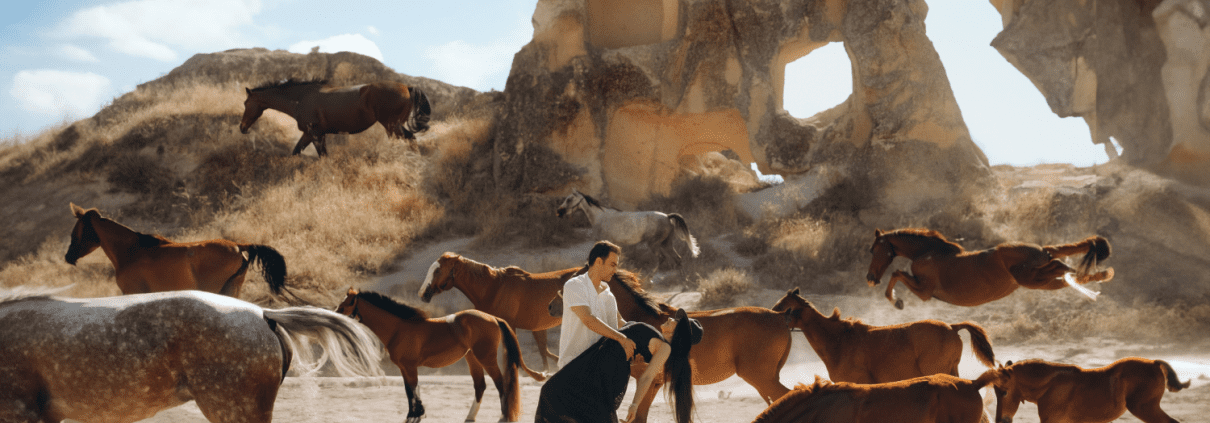 cappadocia horse photography